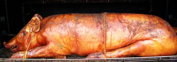 whole pig